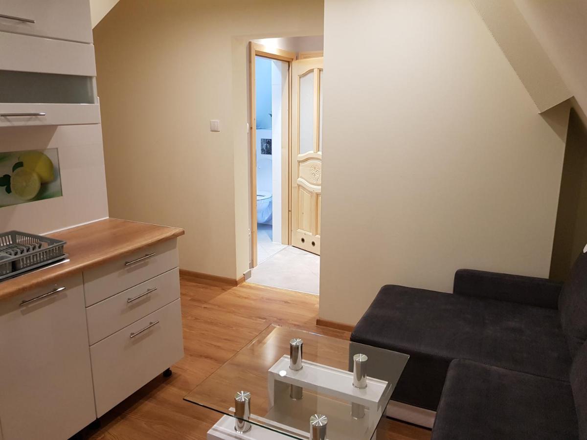 Willa U Slodkiego Zakopane Ngoại thất bức ảnh