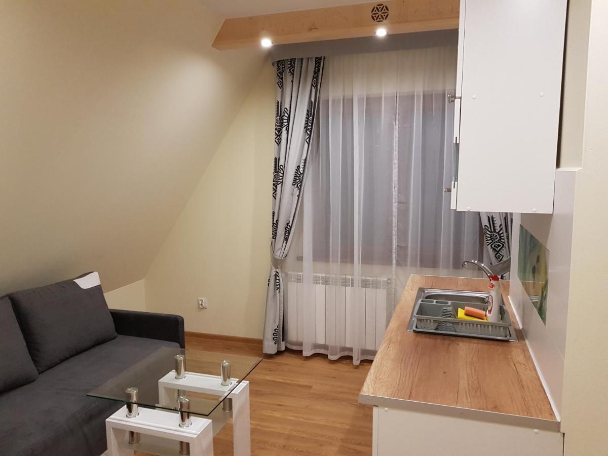 Willa U Slodkiego Zakopane Ngoại thất bức ảnh