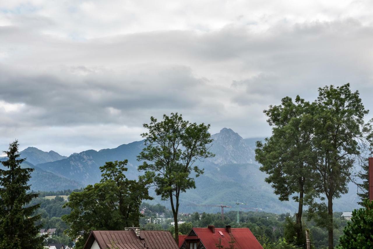 Willa U Slodkiego Zakopane Ngoại thất bức ảnh