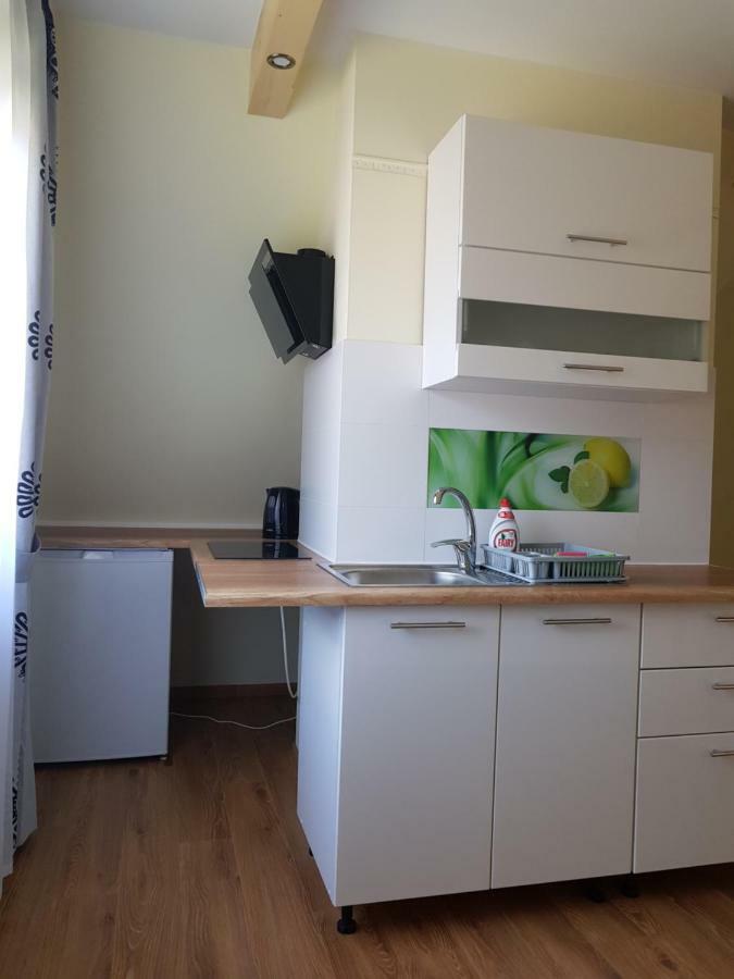 Willa U Slodkiego Zakopane Ngoại thất bức ảnh
