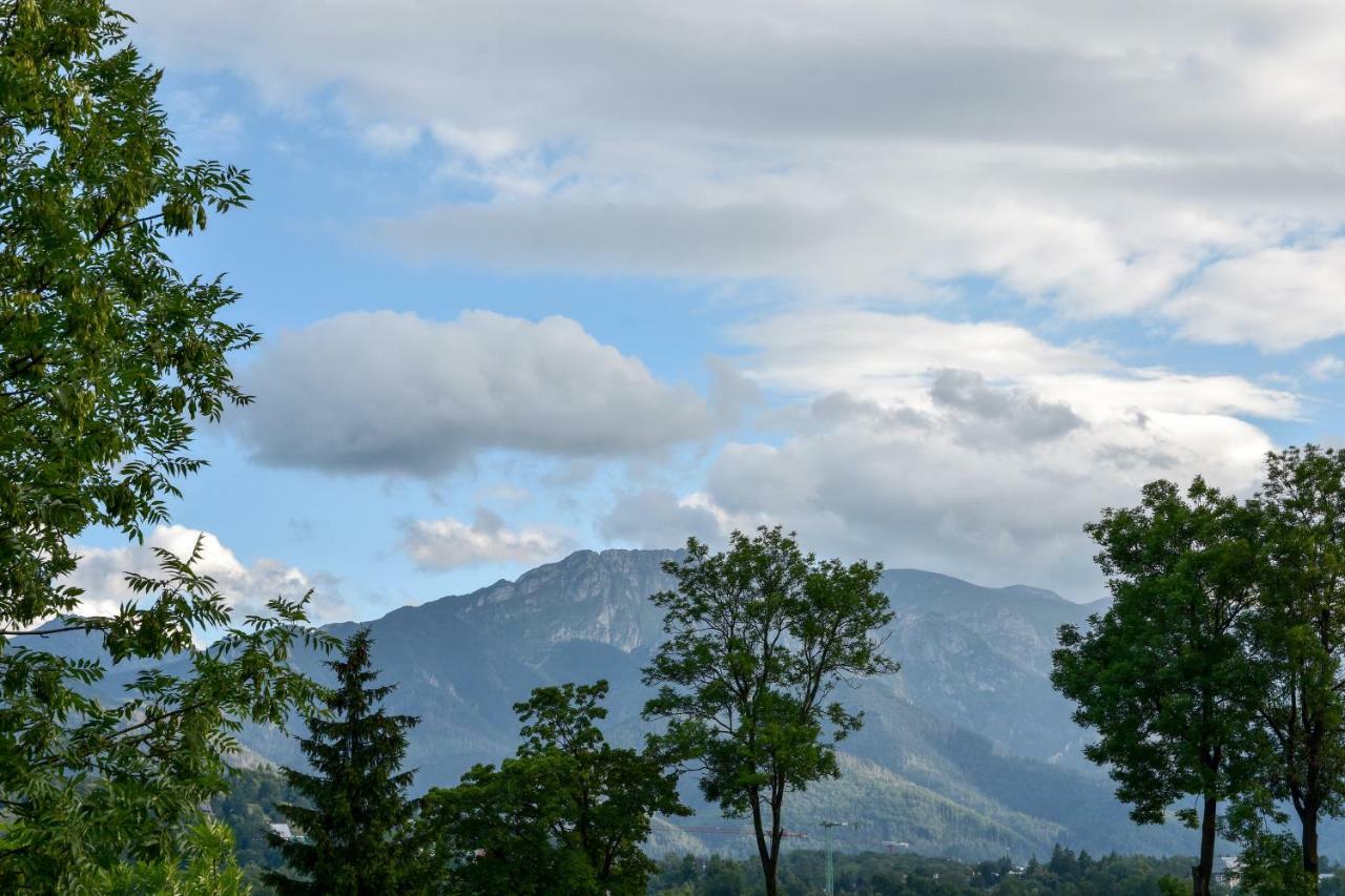 Willa U Slodkiego Zakopane Ngoại thất bức ảnh