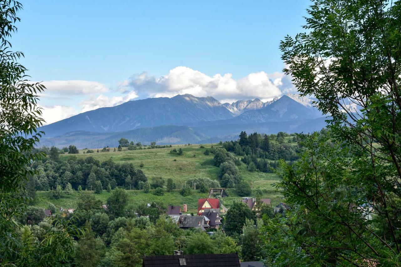 Willa U Slodkiego Zakopane Ngoại thất bức ảnh