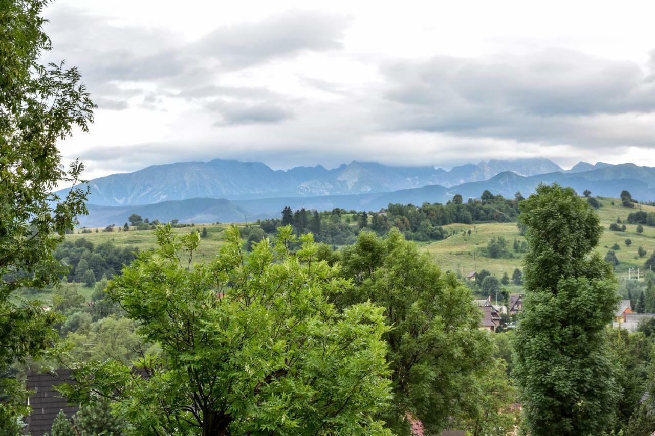 Willa U Slodkiego Zakopane Ngoại thất bức ảnh